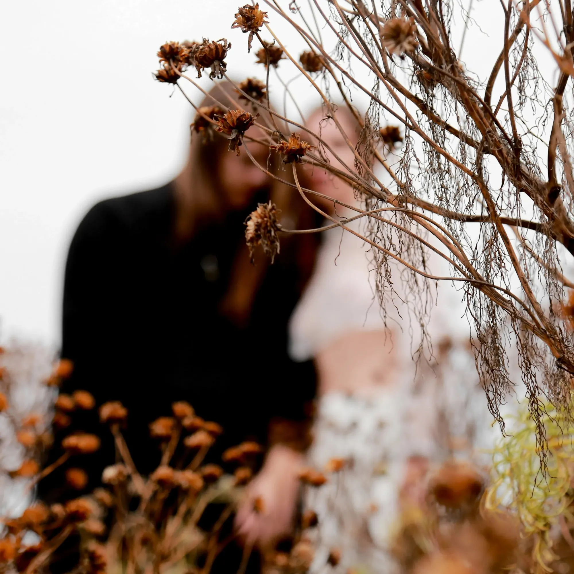 Tsuruda x Huxley Anne — PAINT — Tsuruda x Huxley Anne · frame 06 · Lloyd Galbraith