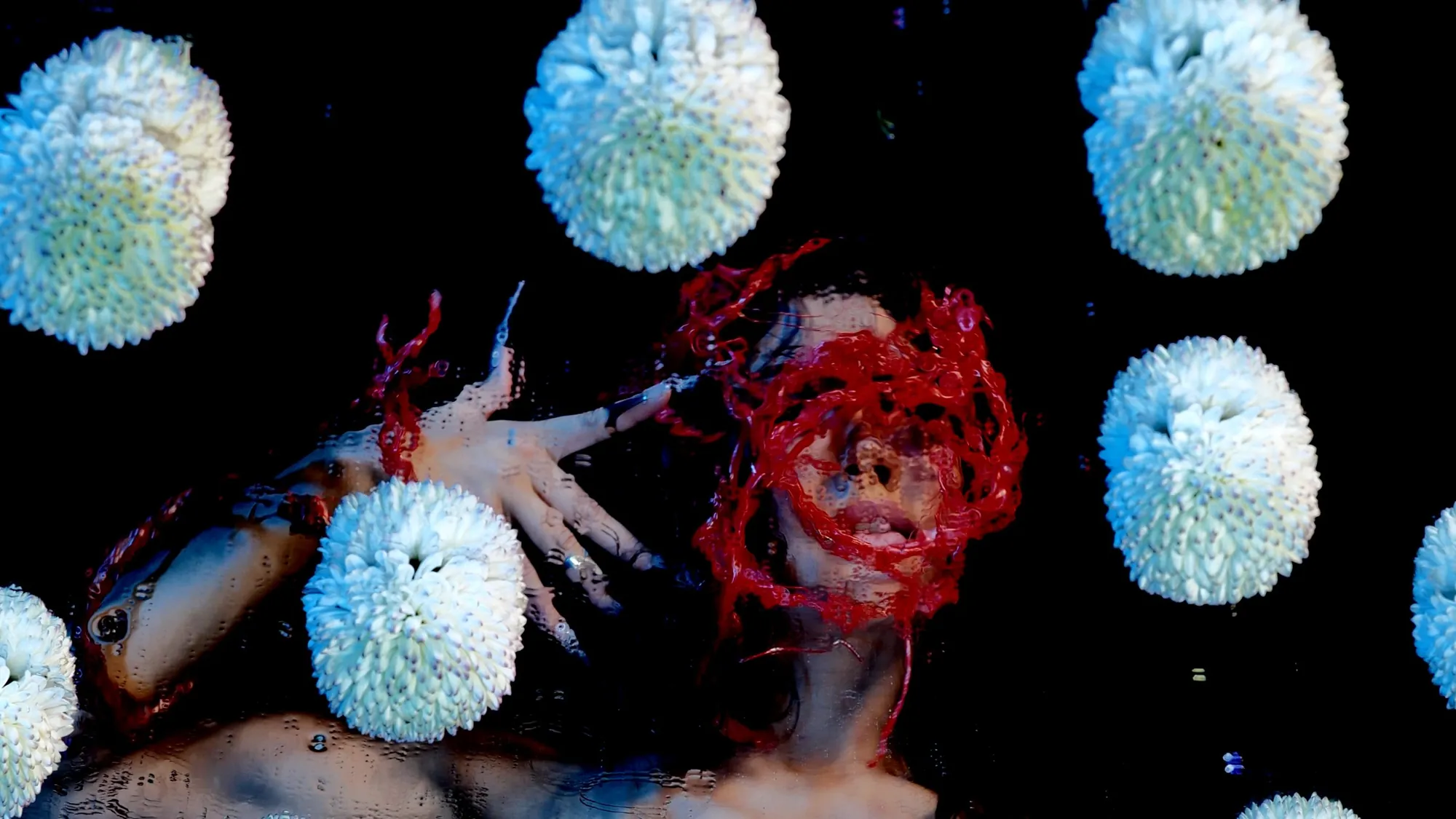 Standard Vision — Dicentra — Standard Vision Artist Spotlight · frame 08 · Lloyd Galbraith