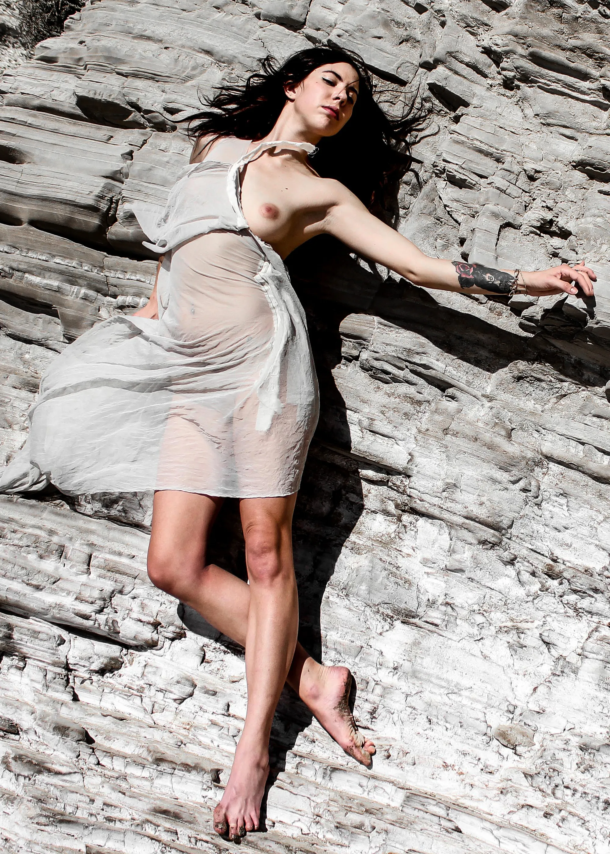 Distilled Utopia — Distilled Utopia · frame 24 · Lloyd Galbraith