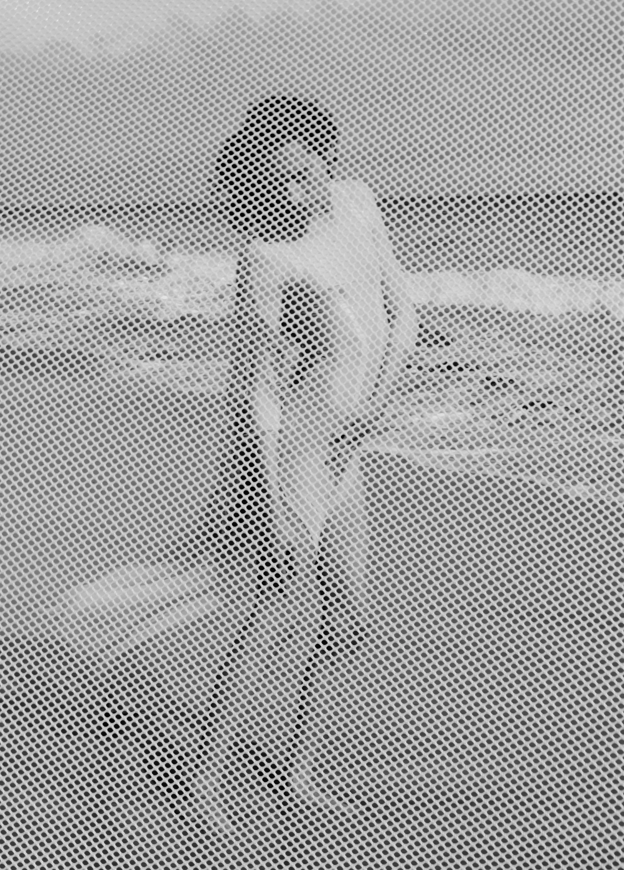 Distilled Utopia — Distilled Utopia · frame 13 · Lloyd Galbraith